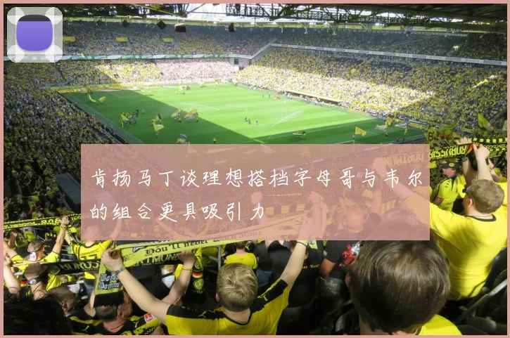 肯扬马丁谈理想搭档字母哥与韦尔的组合更具吸引力